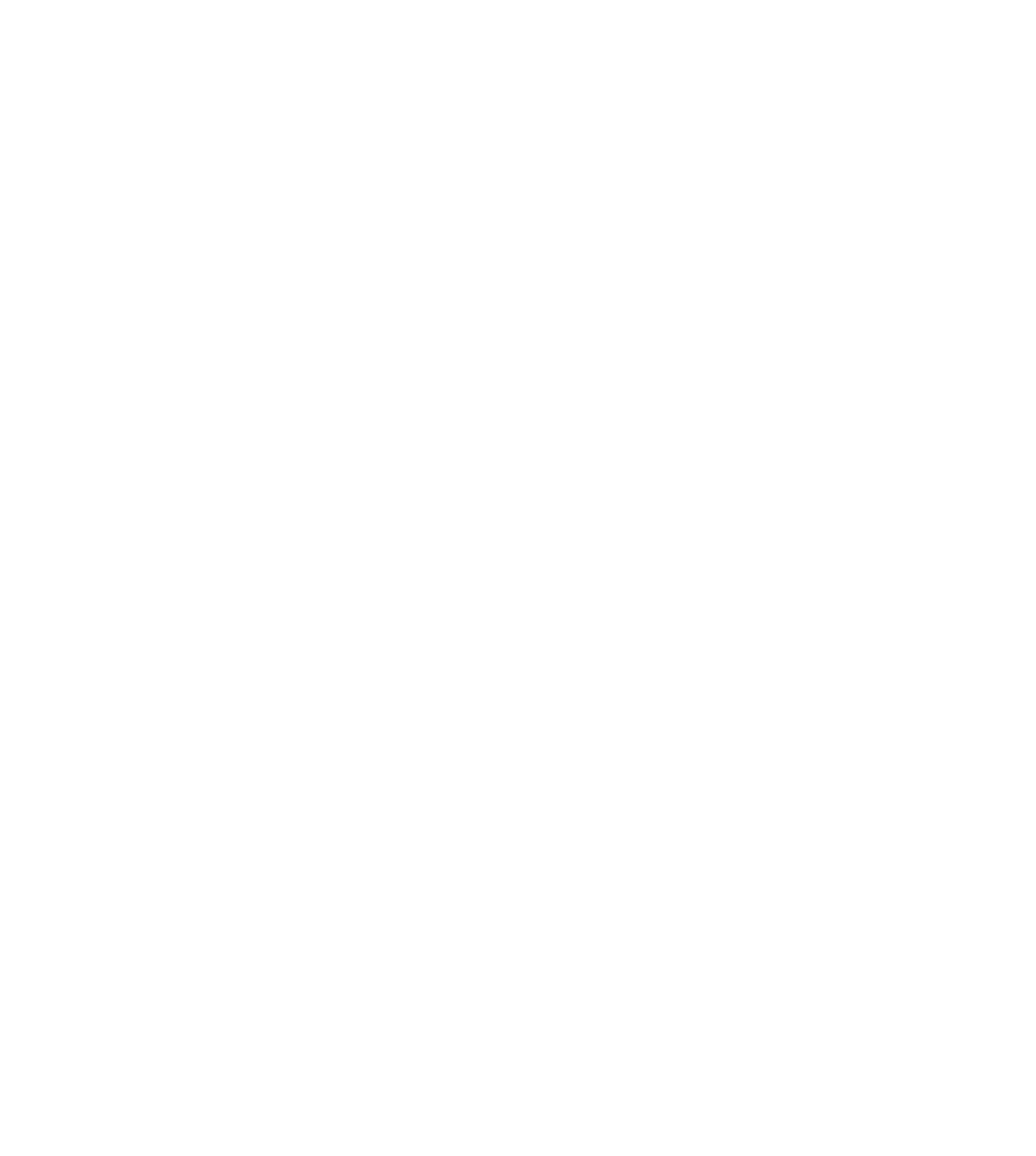 Rocket - Assessoria